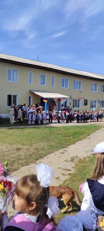 День знаний.